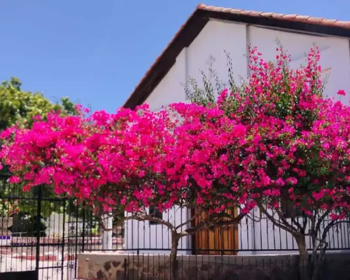 Un éxito Bazar con Causa para el Asilo de Ancianas en Guaymas