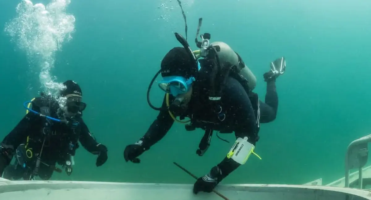 Repunta turismo de buceo en San Carlos esta temporada