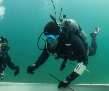 Repunta turismo de buceo en San Carlos esta temporada