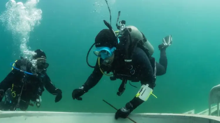 Hay repunte de turismo de buceo en el sector por la temperatura del agua. (Foto: Cortesía / EXPRESO)