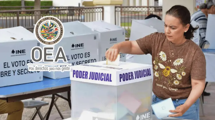 La OEA desplegó para este proceso a una misión de 16 personas de 10 nacionalidades. (Alfredo Gerardo)