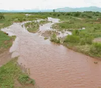Grupo México deberá pagar remediación total por derrame en Río Sonora