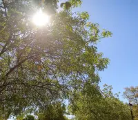 Pronostican lluvias en la sierra y calor extremo en Sonora este jueves