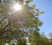 Ascienden a 3 muertes por golpe de calor en Sonora; CEPC activa medidas