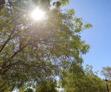 Ascienden a 3 muertes por golpe de calor en Sonora; CEPC activa medidas