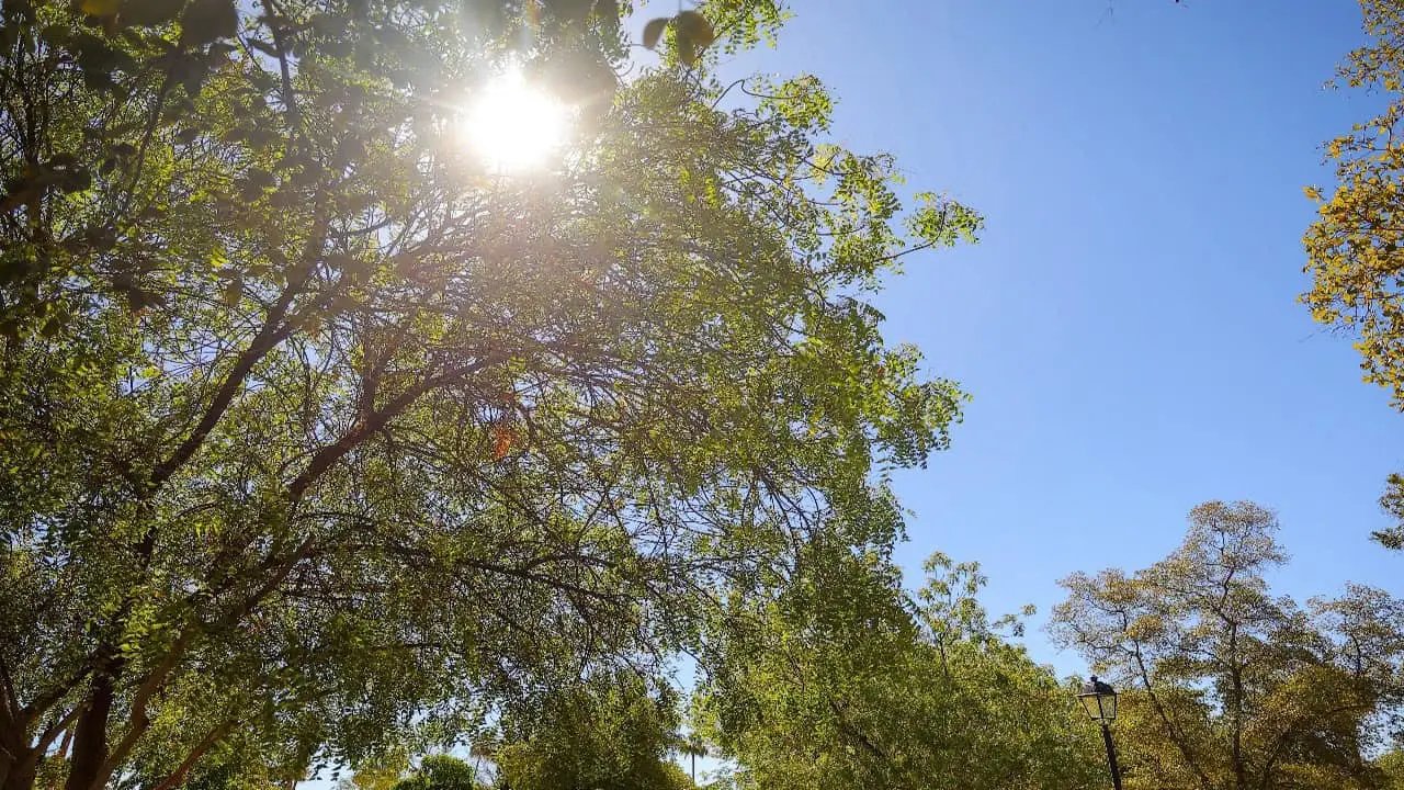 Prevén temperaturas de hasta 45°C este fin de semana en Sonora