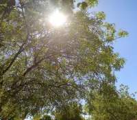 Prevén temperaturas de hsata 45°C este fin de semana en Sonora