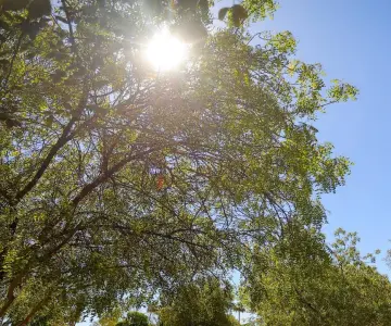 Prevén temperaturas de hasta 45°C este fin de semana en Sonora