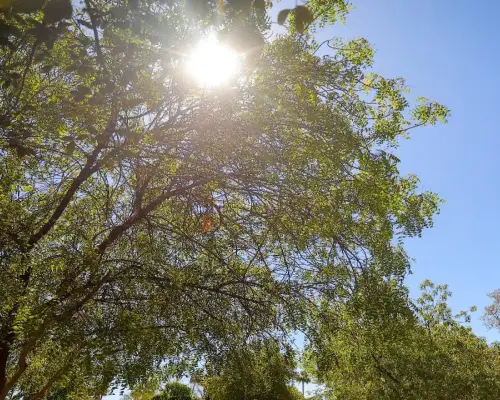 Prevén temperaturas de hasta 45°C este fin de semana en Sonora