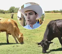 Sader refuerza acciones contra el gusano barrenador en Sonora