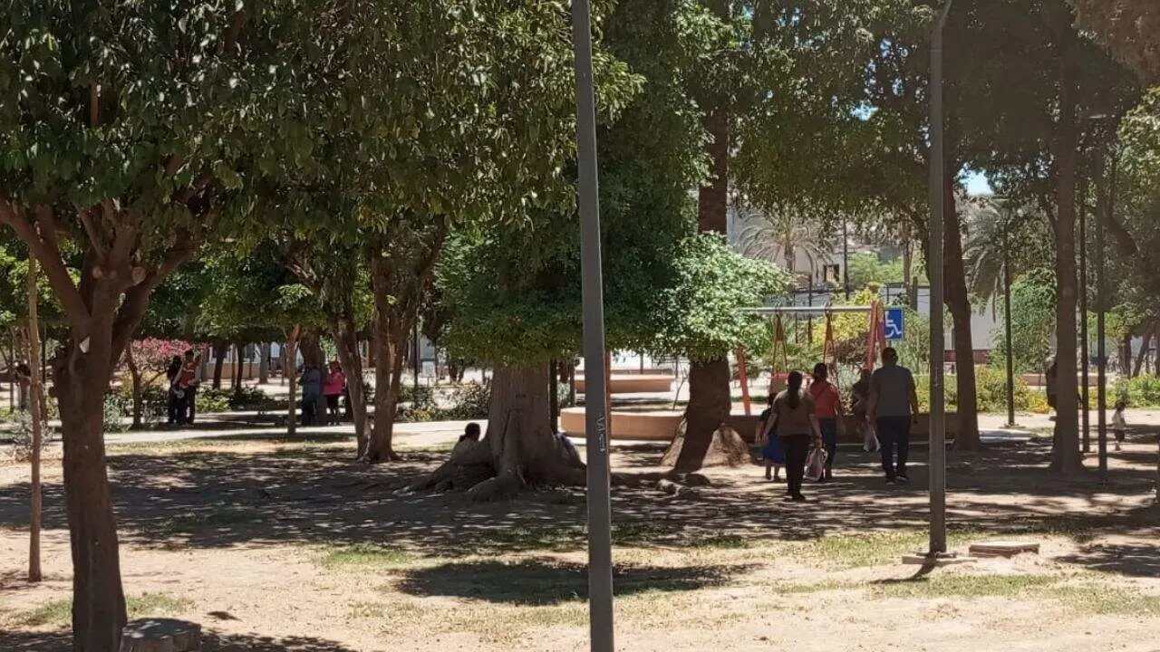 Un domingo de chill en el Parque Madero, a pesar del calor