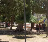 Un domingo de chill en el Parque Madero, a pesar del calor