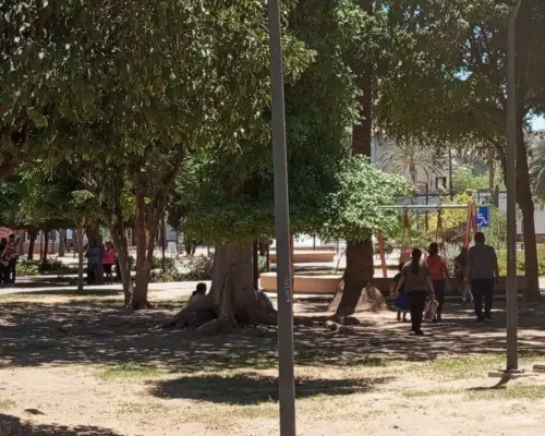 Un domingo de chill en el Parque Madero, a pesar del calor