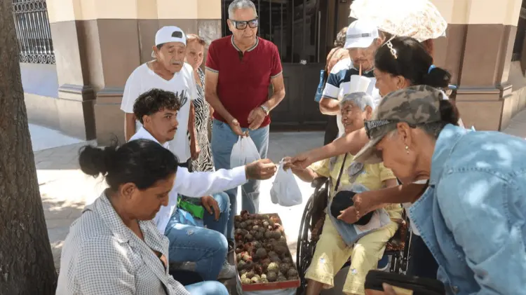 La venta de este fruto genera también ingresos para comunidades rurales. (Foto: Jesús Ballesteros)
