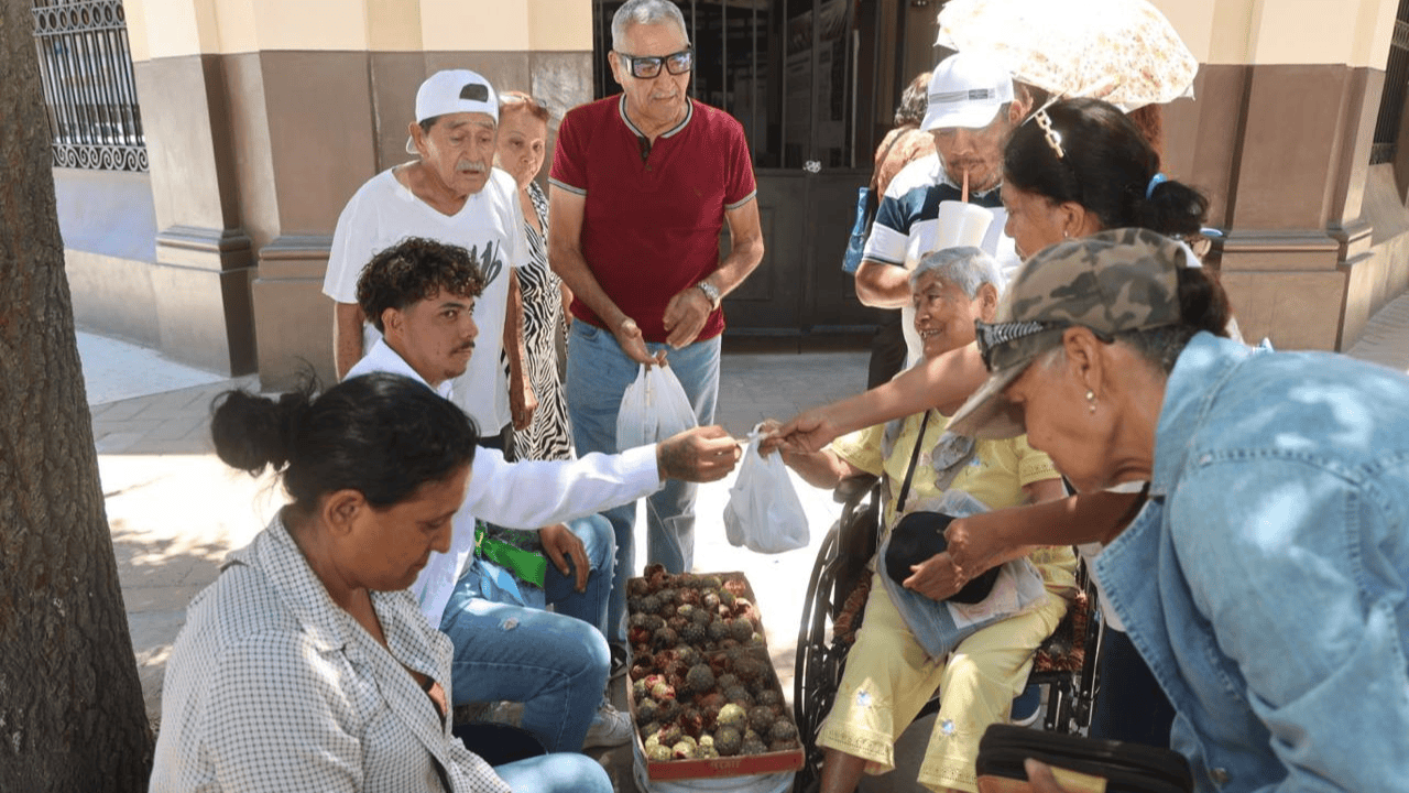 Llega la temporada de pitayas a Hermosillo: una tradición que se renueva