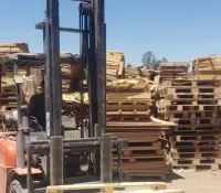 Nogales: Bienestar Social cuenta con el programa de donación de tarimas