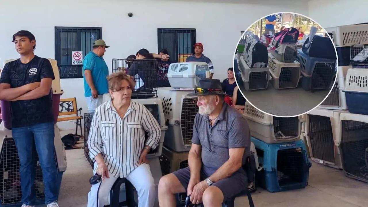 Avanza SBPA con campañas de esterilización en San Carlos