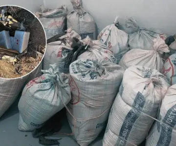 Decomisan gran cargamento de drogas en frontera de Nogales: CBP