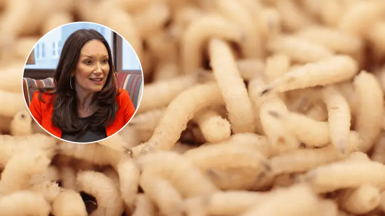 El plan consiste en reforzar la vigilancia en la frontera sur. (Foto: Especial/EXPRESO)