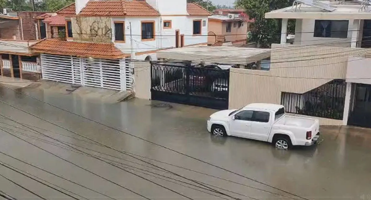 Cocodrilo de dos metros nada por calles de Ciudad Madero