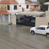Cocodrilo de dos metros nada por calles de Ciudad Madero