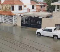 Cocodrilo de dos metros nada por calles de Ciudad Madero