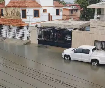 Cocodrilo de dos metros nada por calles de Ciudad Madero
