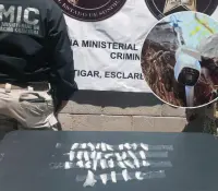 Cateo en la Jacinto López: Aseguran narcótico y cámaras de vigilancia