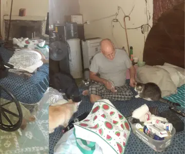 Don Gato, el hombre que lleva 40 años rescatando gatos