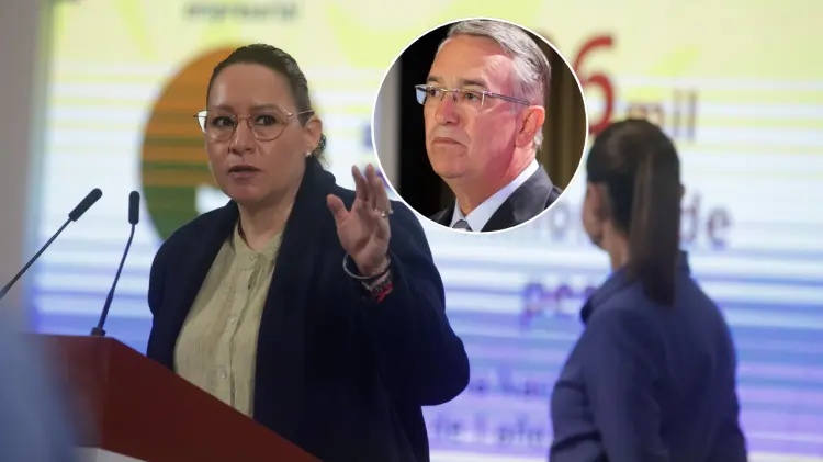 La procuradora fiscal de la SHyCP exhibió el modus operandi. (Foto: Agencia El Universal)