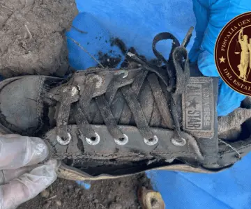 Hallan osamentas en predio en el Valle del Yaqui; Fiscalía investiga