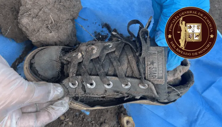 Hallan osamentas en predio en el Valle del Yaqui; Fiscalía investiga