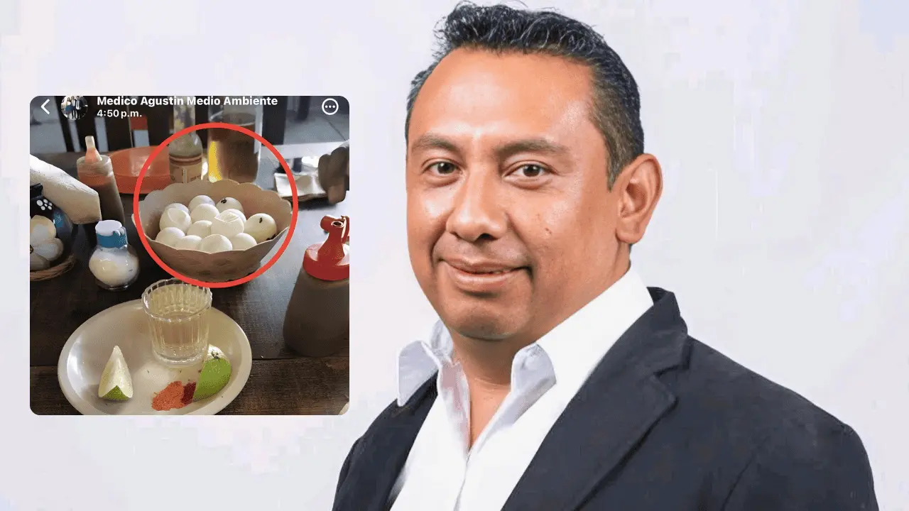 Funcionario de Medio Ambiente pierde su cargo por consumir huevos de tortuga