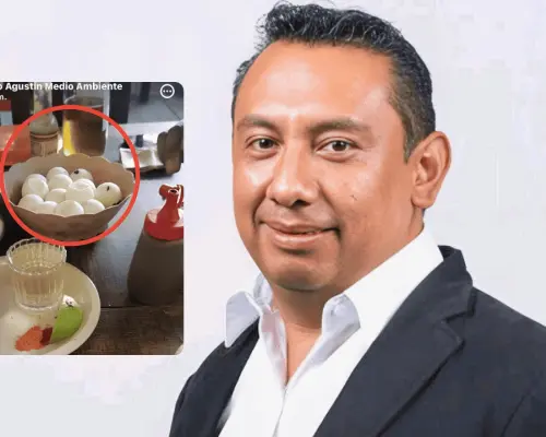 Funcionario de Medio Ambiente pierde su cargo por consumir huevos de tortuga