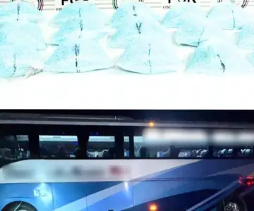 Aseguran 200 mil pastillas de fentanilo en autobús en tramo Caborca-Sonoyta