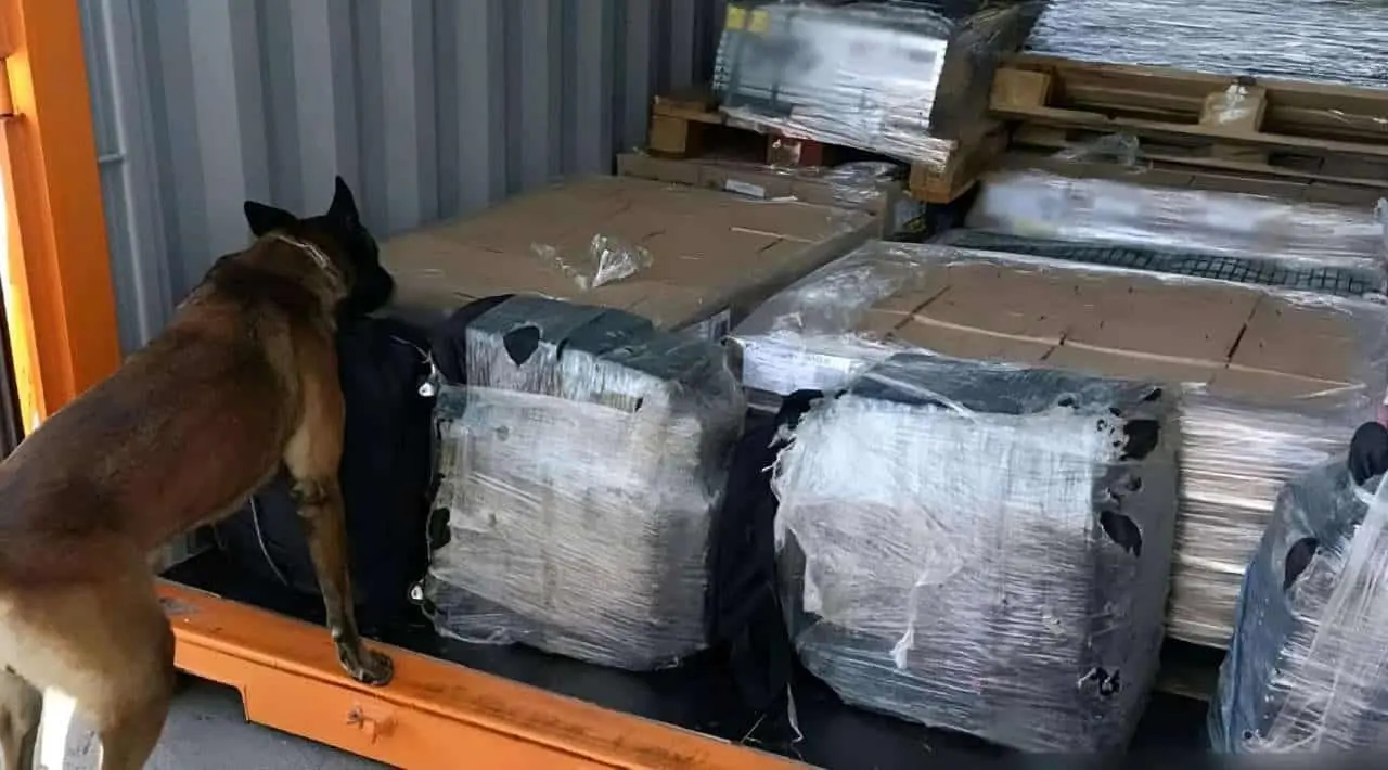 Autoridades Federales decomisan 200 kilos de cocaína en Baja California