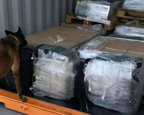 Autoridades Federales decomisan 200 kilos de cocaína en Baja California