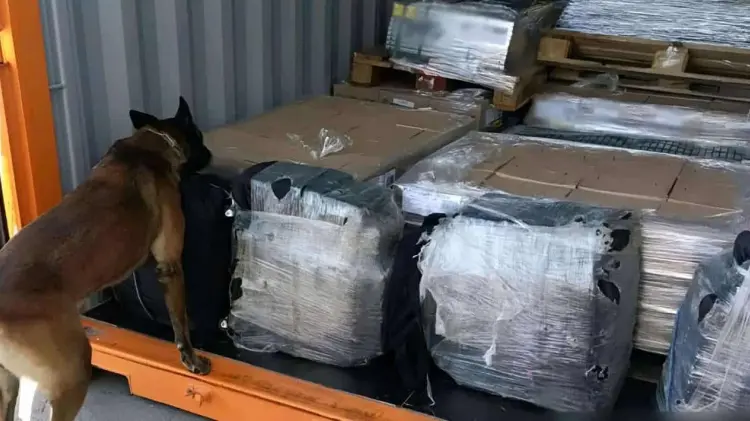 Un elemento canino detectó la droga en unas maletas