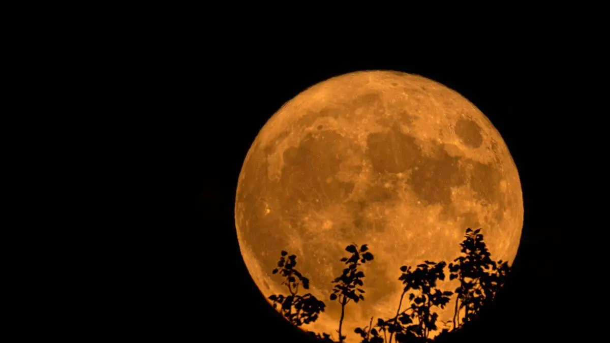 Luna de Ciervo el fenómeno astronómico que podrás ver este 10 de julio