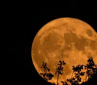 Luna de Ciervo el fenómeno astronómico que podrás ver este 10 de julio