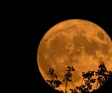 Luna de Ciervo el fenómeno astronómico que podrás ver este 10 de julio