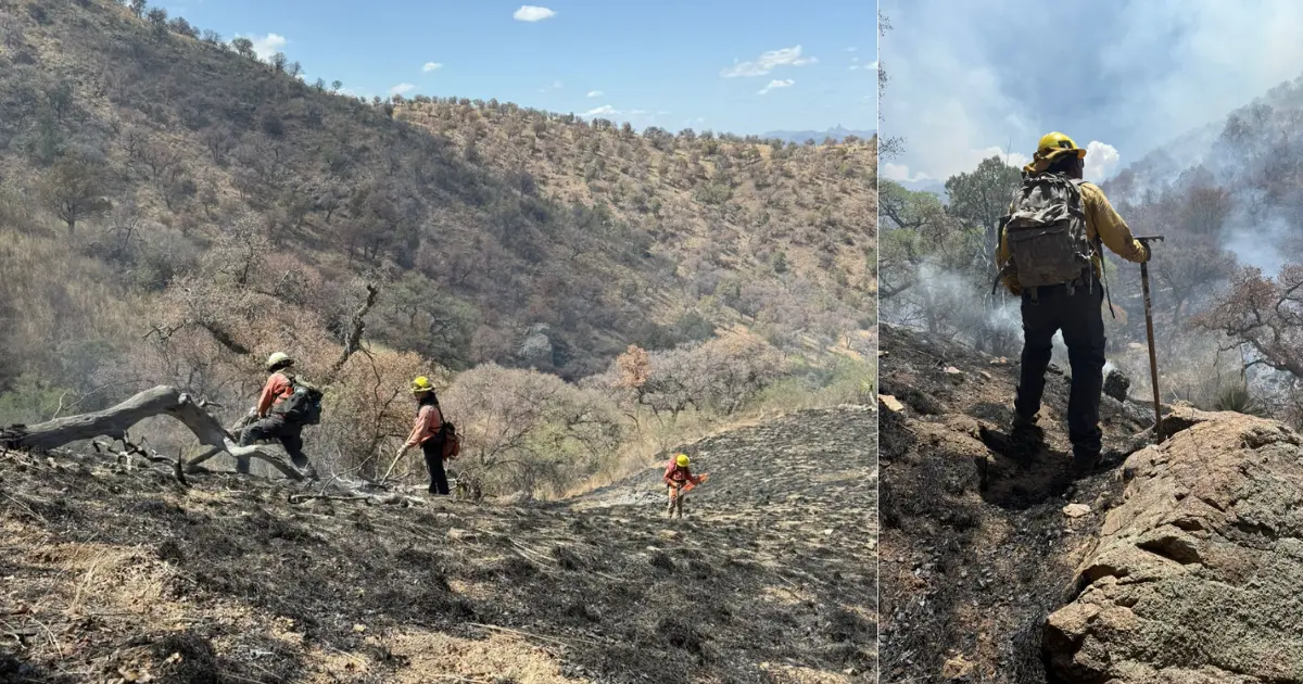 Logran sofocar incendio forestal en la Sierra Los Ajos