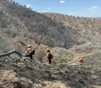 Logran sofocar incendio forestal en la Sierra Los Ajos