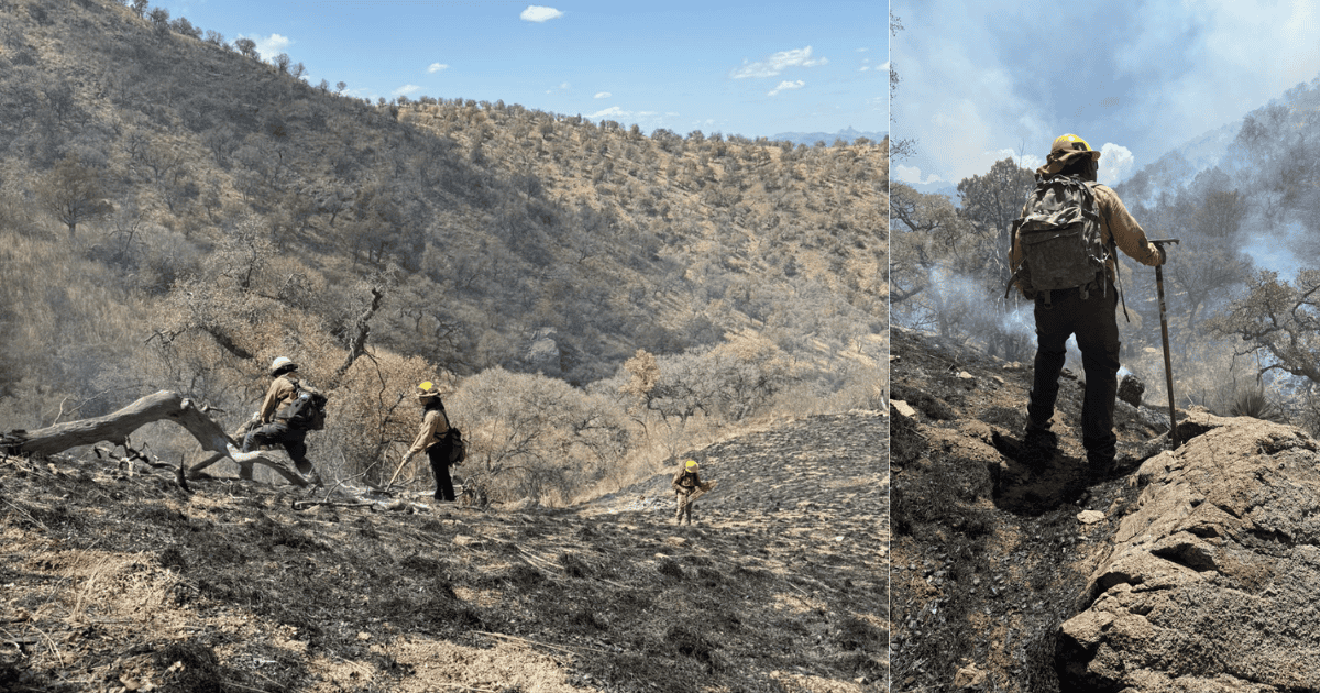 Logran sofocar incendio forestal en la Sierra Los Ajos