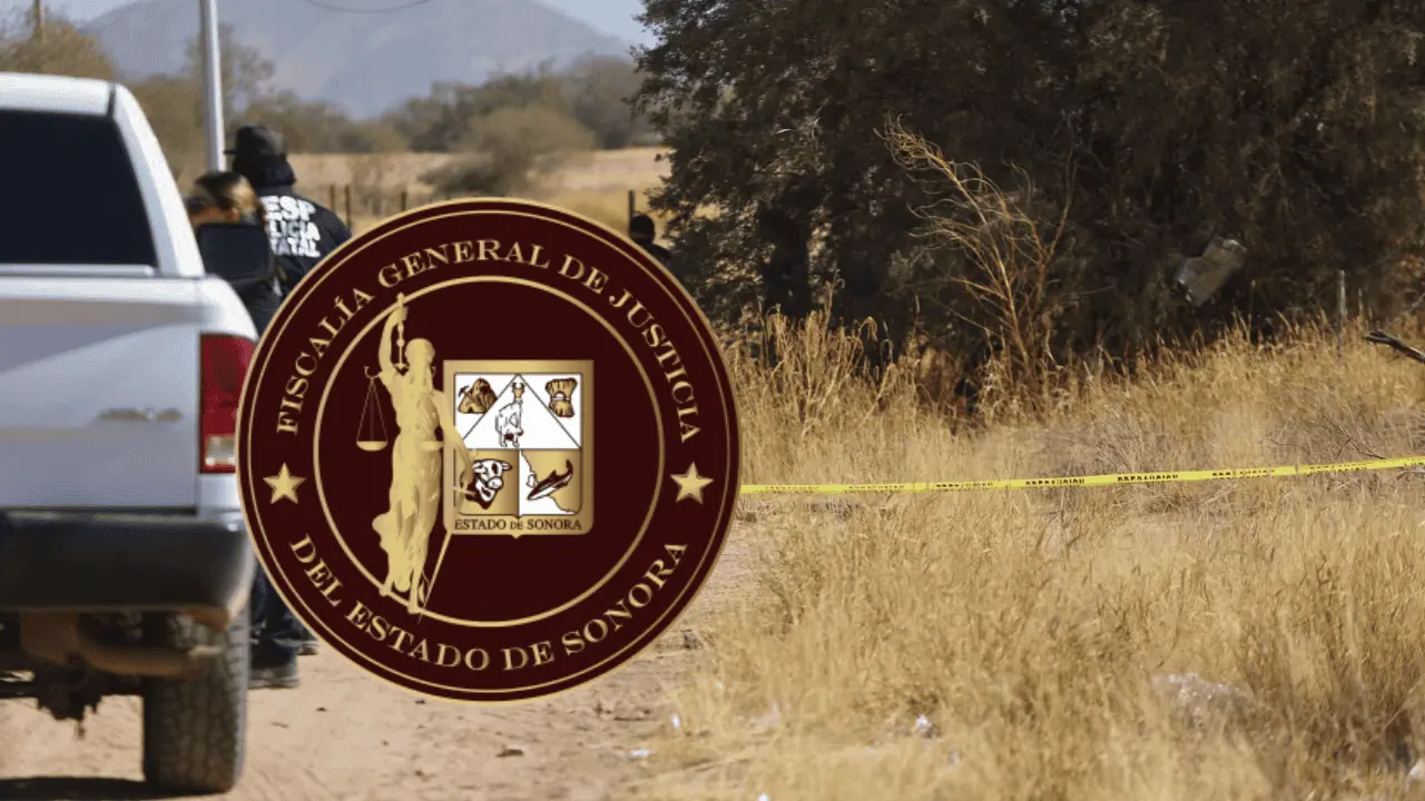 Inician pesquisas por hallazgo de tres cuerpos en la carretera 36 Norte
