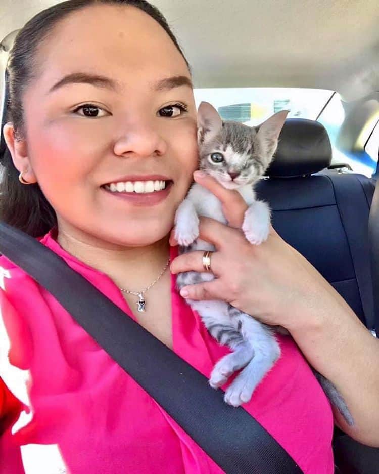 Cuidan a los gatos que otros ignoran: la historia de Adopciones Aragón