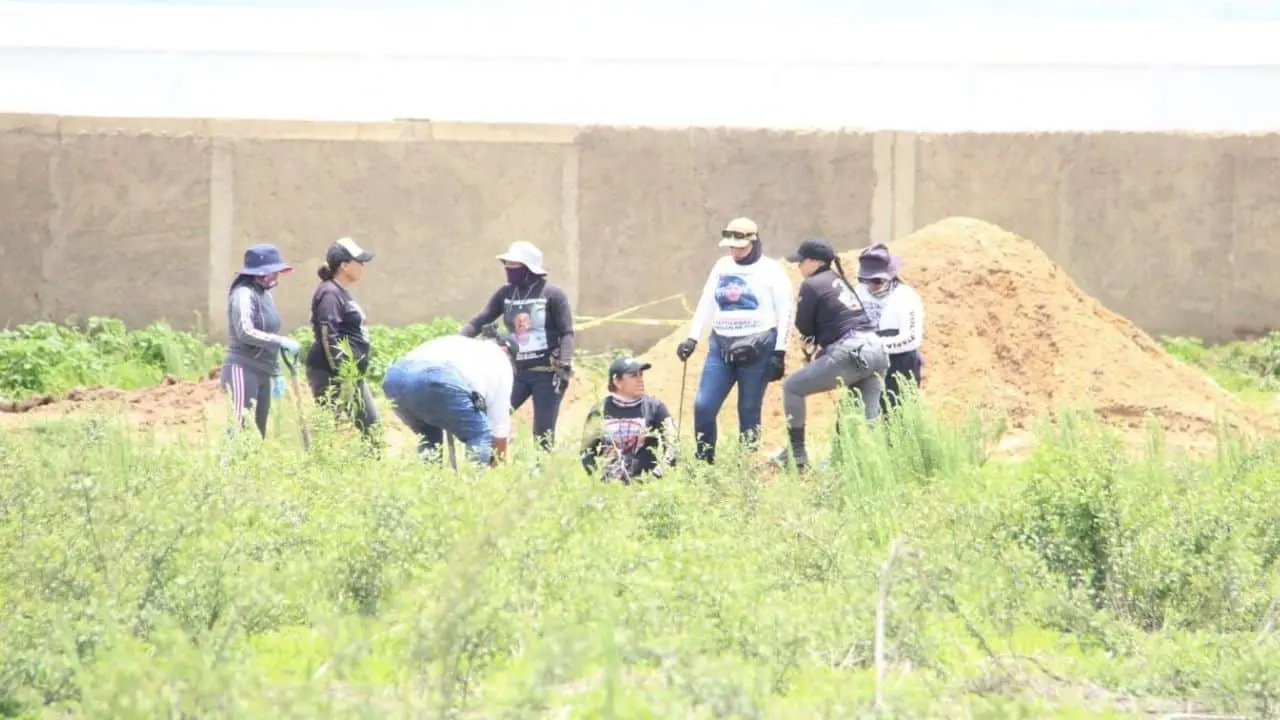 Hallan 211 bolsas en Las Agujas, Zapopan; va Federación y colectivos