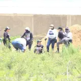 Hallan 211 bolsas en Las Agujas, Zapopan; va Federación y colectivos