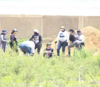 Hallan 211 bolsas en Las Agujas, Zapopan; va Federación y colectivos