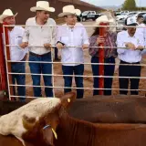 Respiran ganaderos de Sonora ante reapertura de frontera